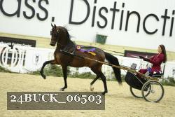 24BUCK_06503 proof
