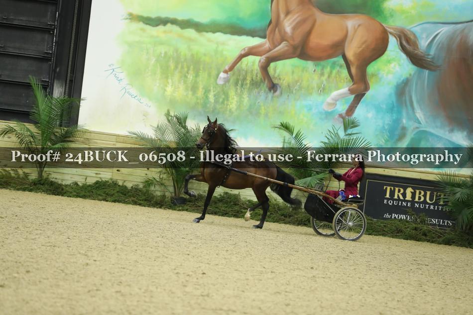 Proof 24BUCK_06508