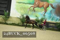 24BUCK_06508 proof