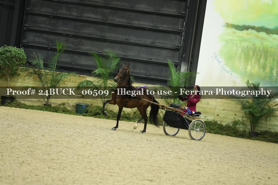 Proof 24BUCK_06509
