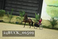 24BUCK_06509 proof