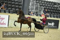 24BUCK_06511 proof
