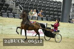 24BUCK_06512 proof