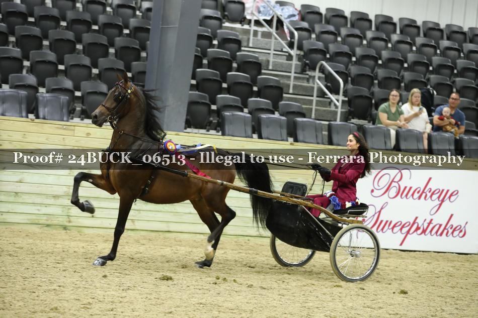 Proof 24BUCK_06513