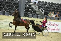 24BUCK_06513 proof
