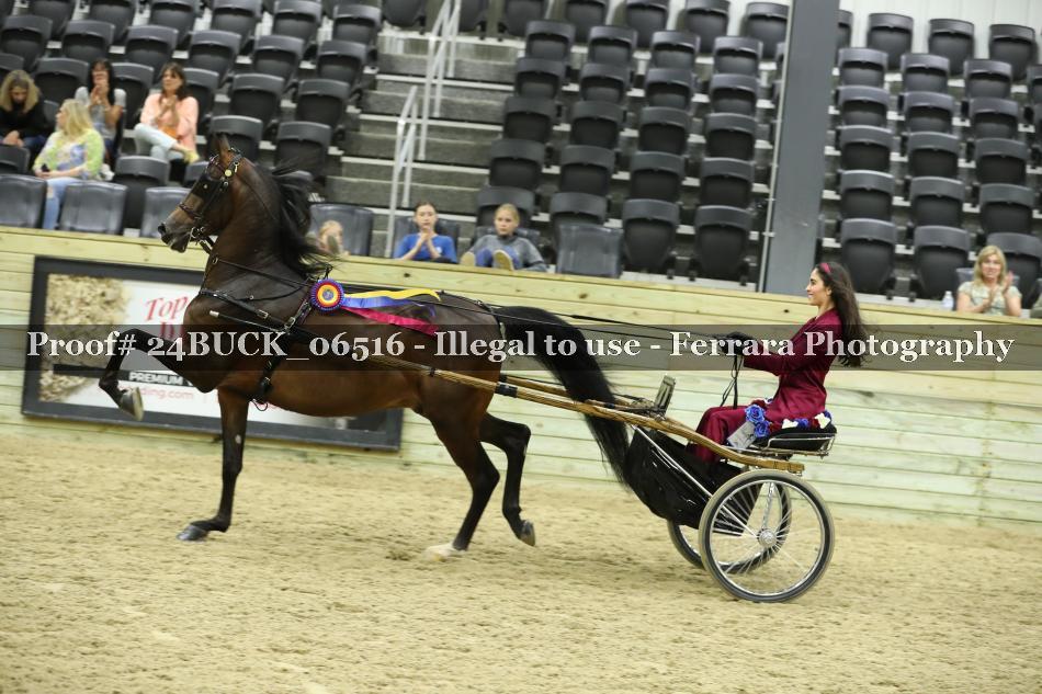 Proof 24BUCK_06516