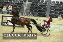 24BUCK_06516 proof