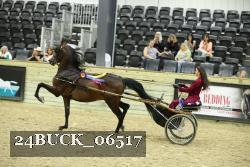 24BUCK_06517 proof