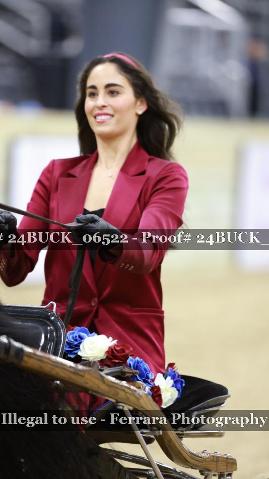 Proof 24BUCK_06522