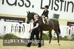 24BUCK_06524 proof