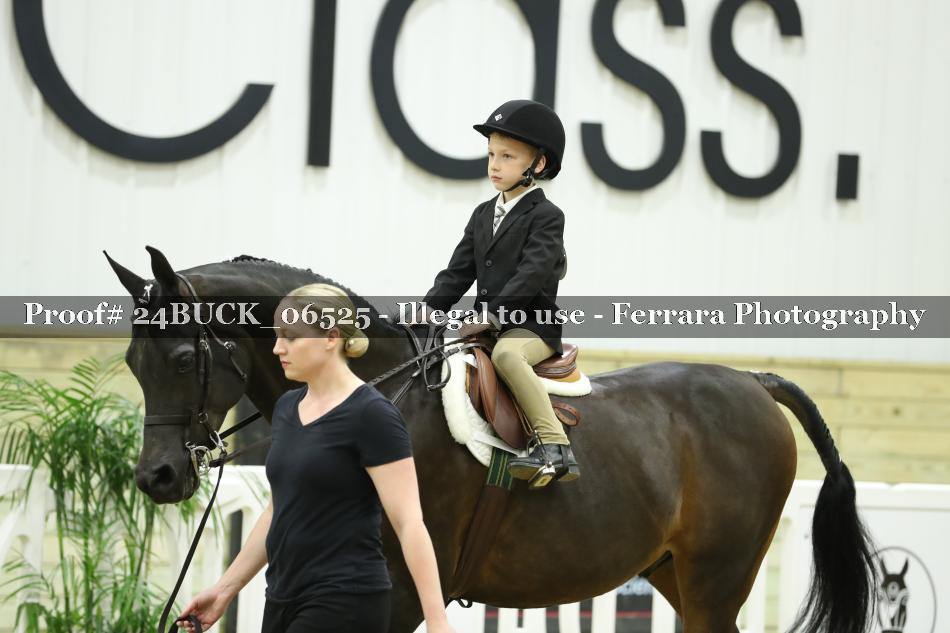 Proof 24BUCK_06525