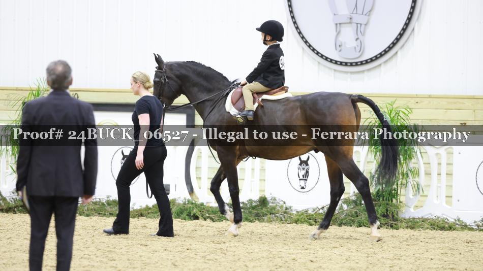 Proof 24BUCK_06527