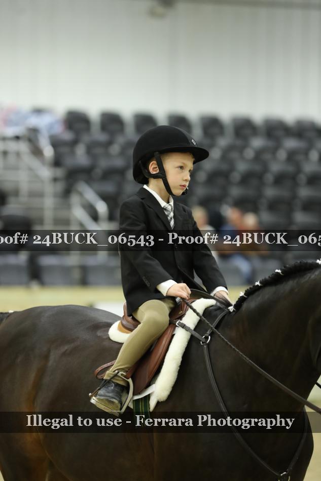 Proof 24BUCK_06543