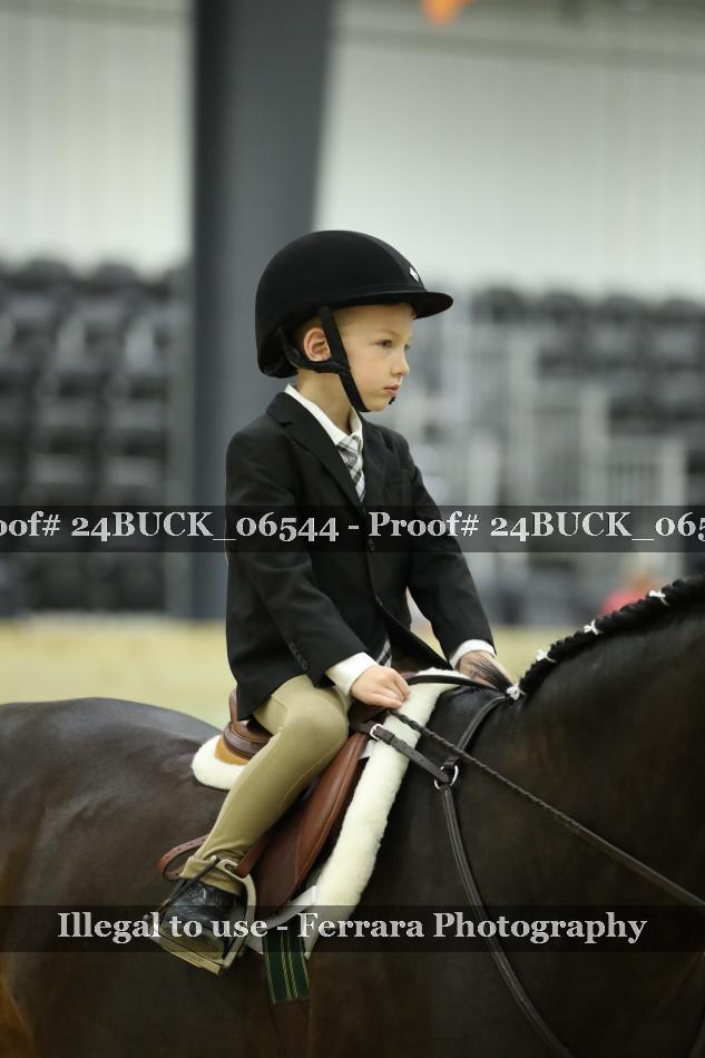 Proof 24BUCK_06544