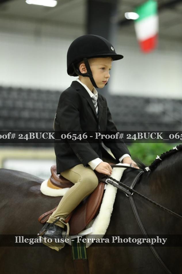 Proof 24BUCK_06546