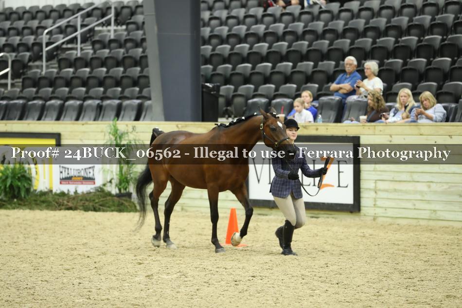 Proof 24BUCK_06562