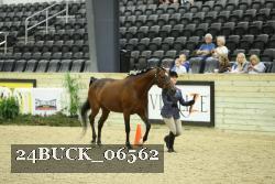 24BUCK_06562 proof