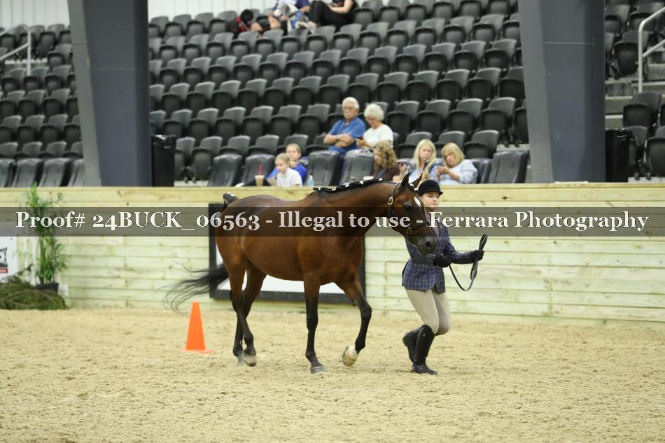 Proof 24BUCK_06563