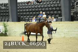 24BUCK_06563 proof