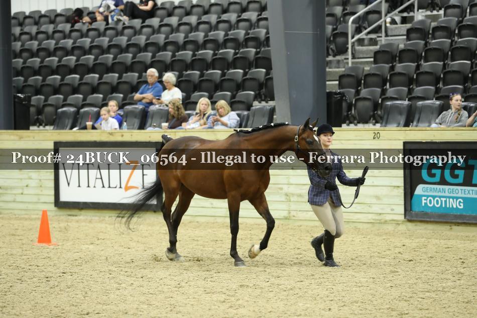 Proof 24BUCK_06564