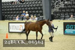 24BUCK_06564 proof
