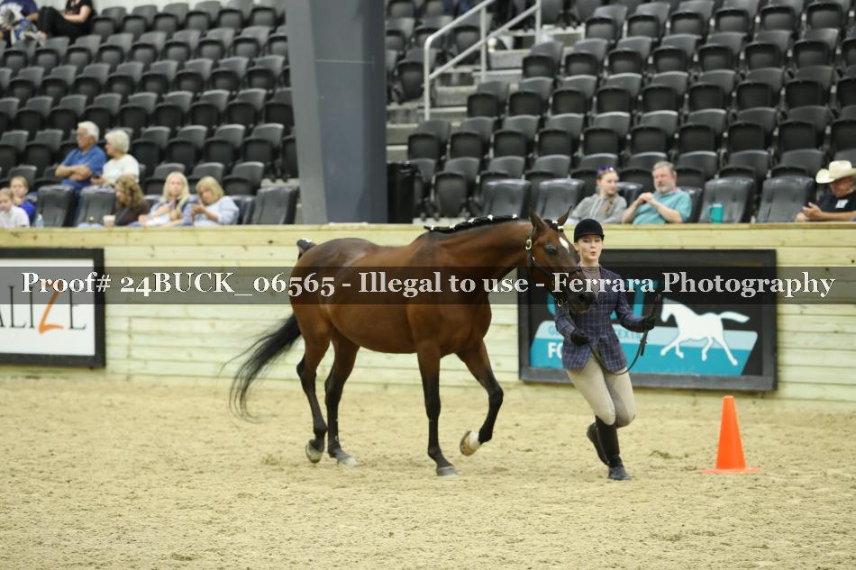 Proof 24BUCK_06565