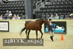 24BUCK_06565 proof
