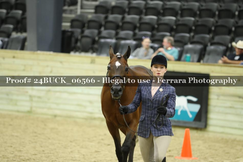 Proof 24BUCK_06566