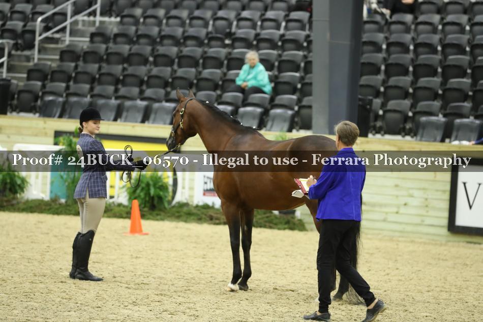 Proof 24BUCK_06570