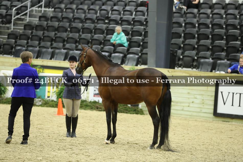 Proof 24BUCK_06571