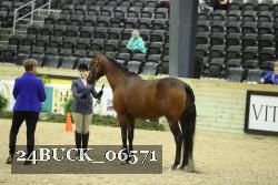 24BUCK_06571 proof