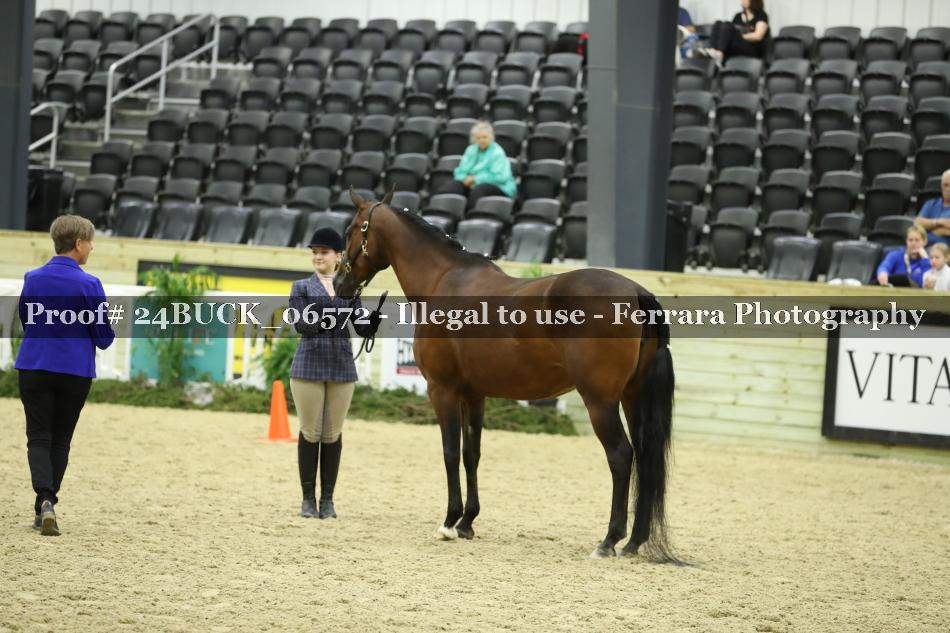 Proof 24BUCK_06572