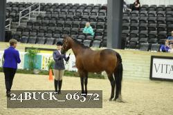 24BUCK_06572 proof