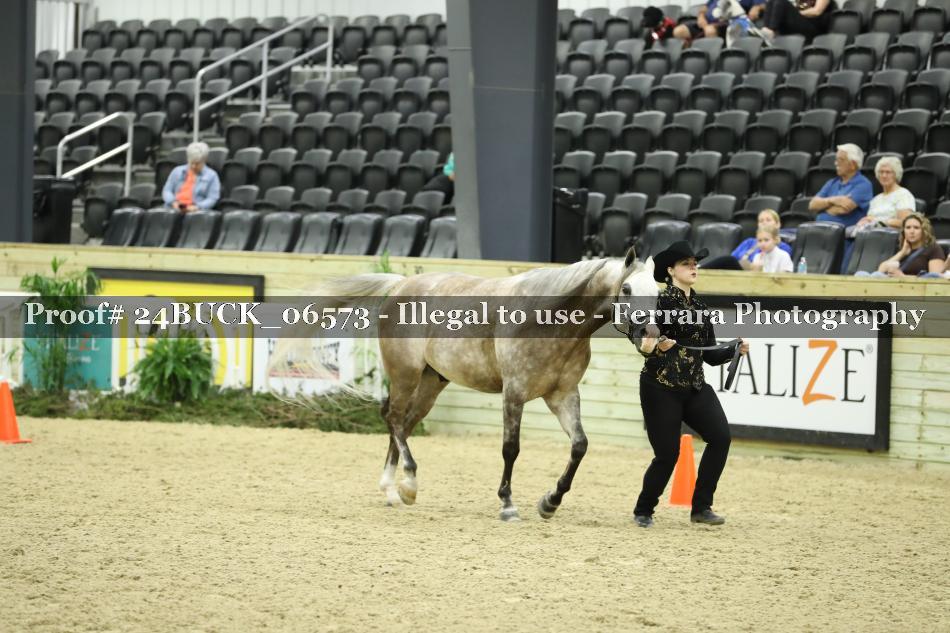 Proof 24BUCK_06573