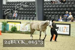 24BUCK_06573 proof