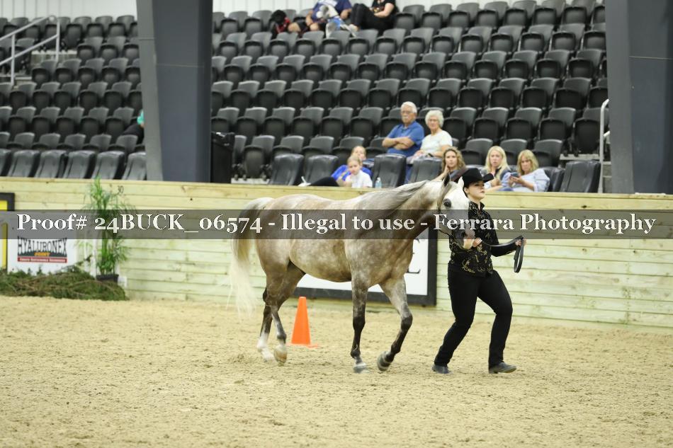 Proof 24BUCK_06574