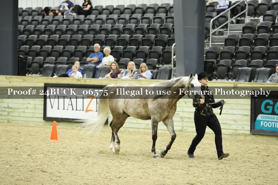 Proof 24BUCK_06575