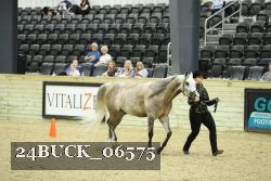 24BUCK_06575 proof