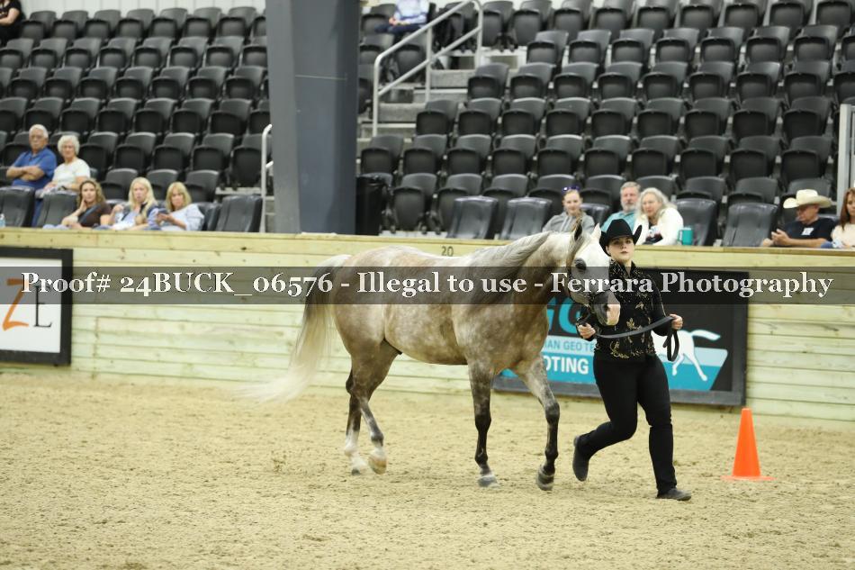 Proof 24BUCK_06576