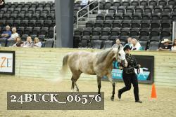 24BUCK_06576 proof