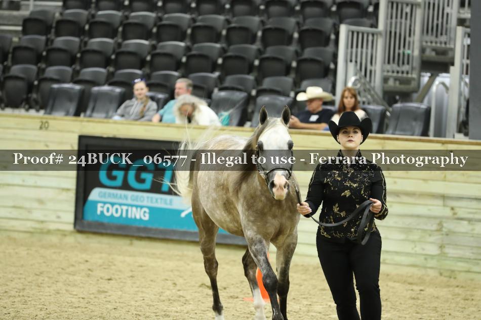 Proof 24BUCK_06577
