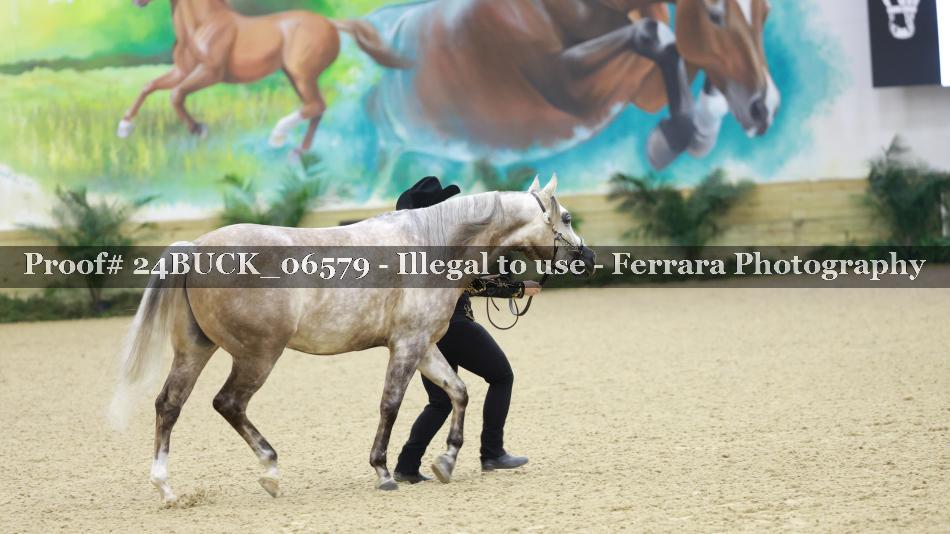 Proof 24BUCK_06579