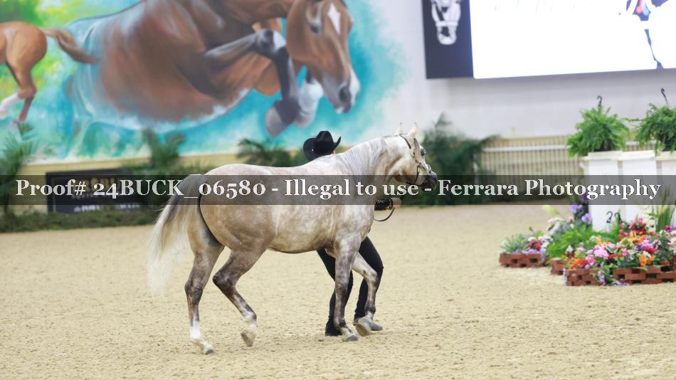 Proof 24BUCK_06580