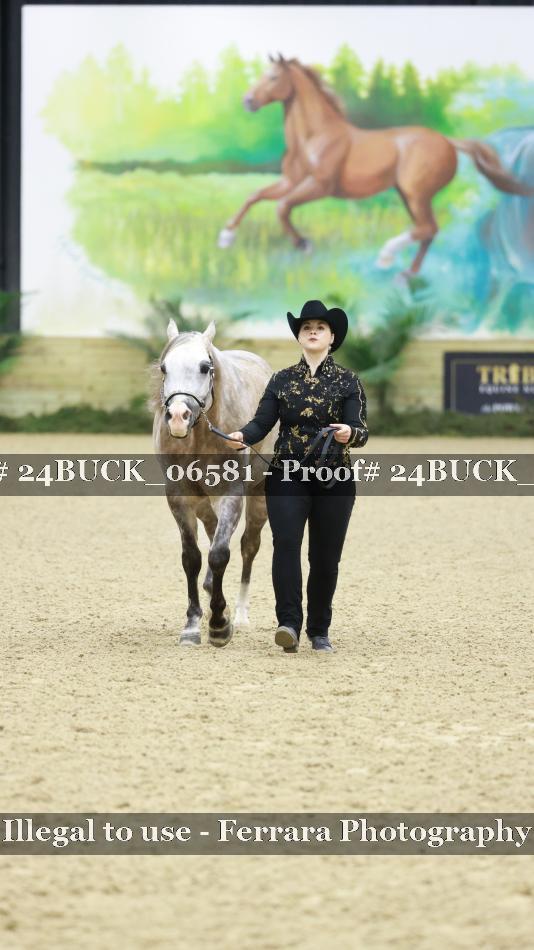 Proof 24BUCK_06581