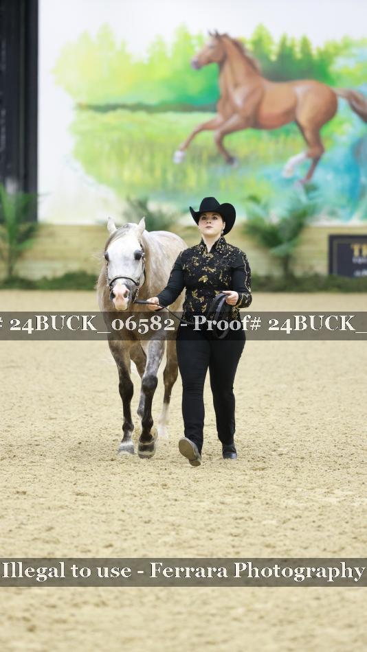 Proof 24BUCK_06582