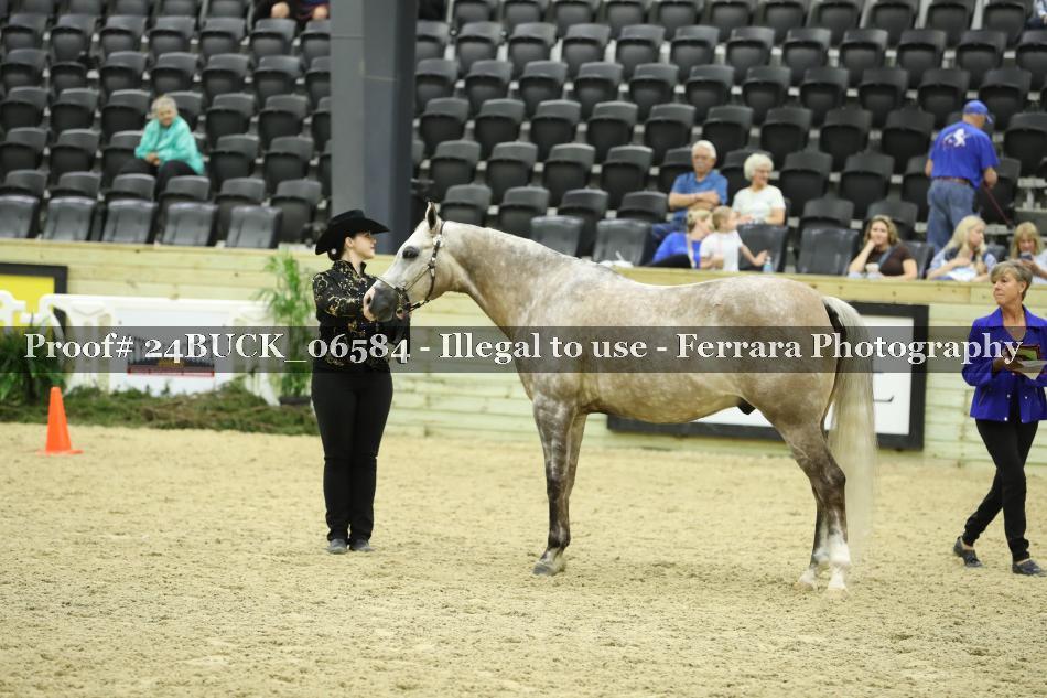 Proof 24BUCK_06584