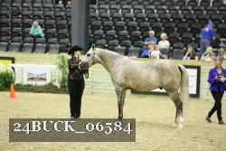 24BUCK_06584 proof