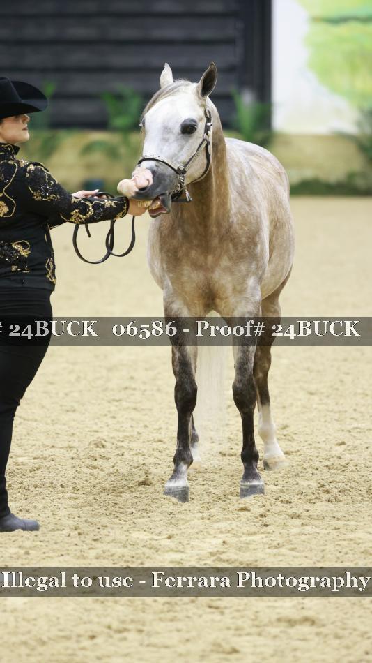 Proof 24BUCK_06586