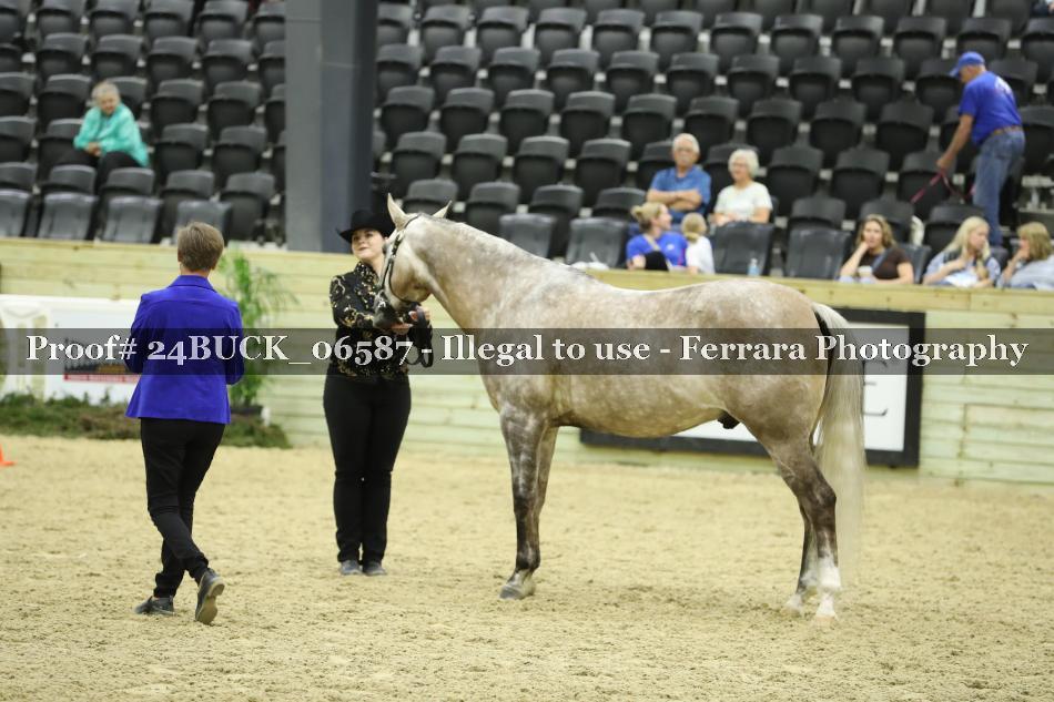 Proof 24BUCK_06587