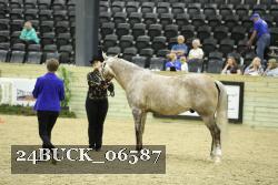 24BUCK_06587 proof